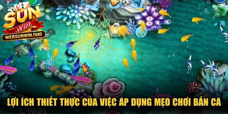 Lợi ích thiết thực của việc áp dụng mẹo chơi bắn cá
