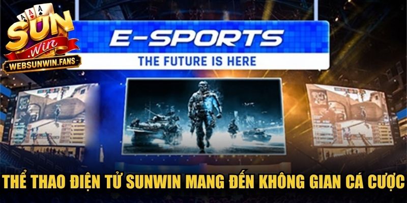 Thể thao điện tử Sunwin mang đến không gian cá cược đẳng cấp hàng đầu