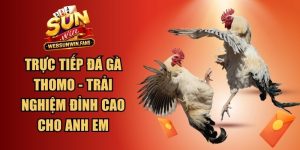 Trực Tiếp Đá Gà Thomo